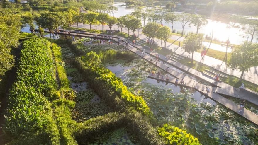 海口市美舍河凤翔湿地公园丨中国海口丨土人设计-41