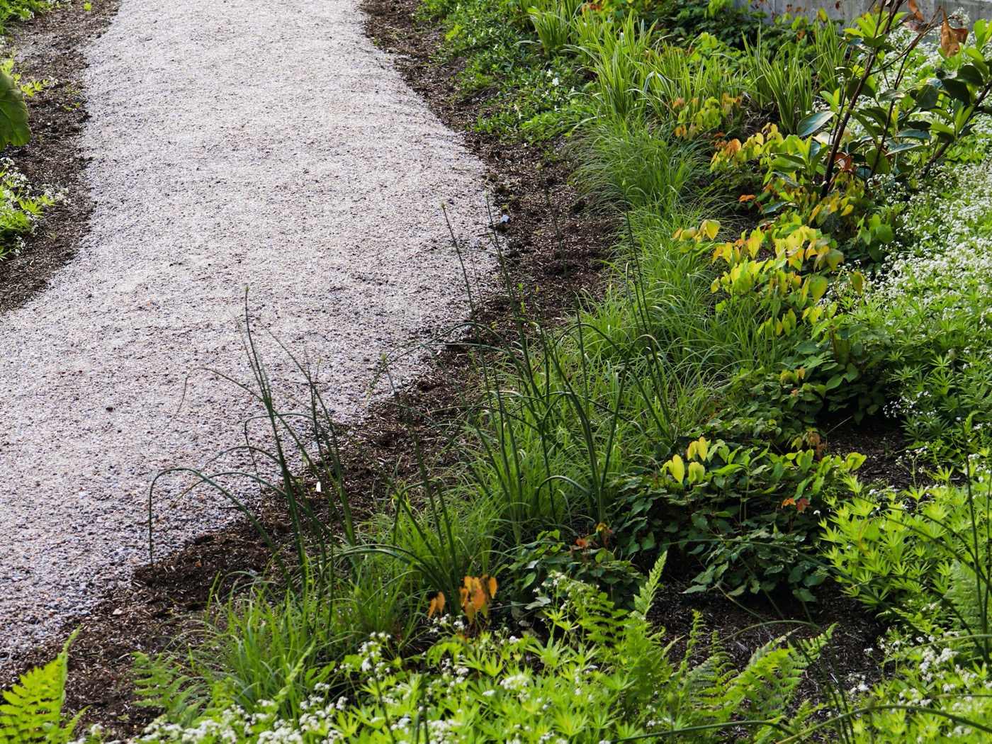 Scandic Grand Central Helsinki Courtyard | 绿色秘境酒店庭院设计-7
