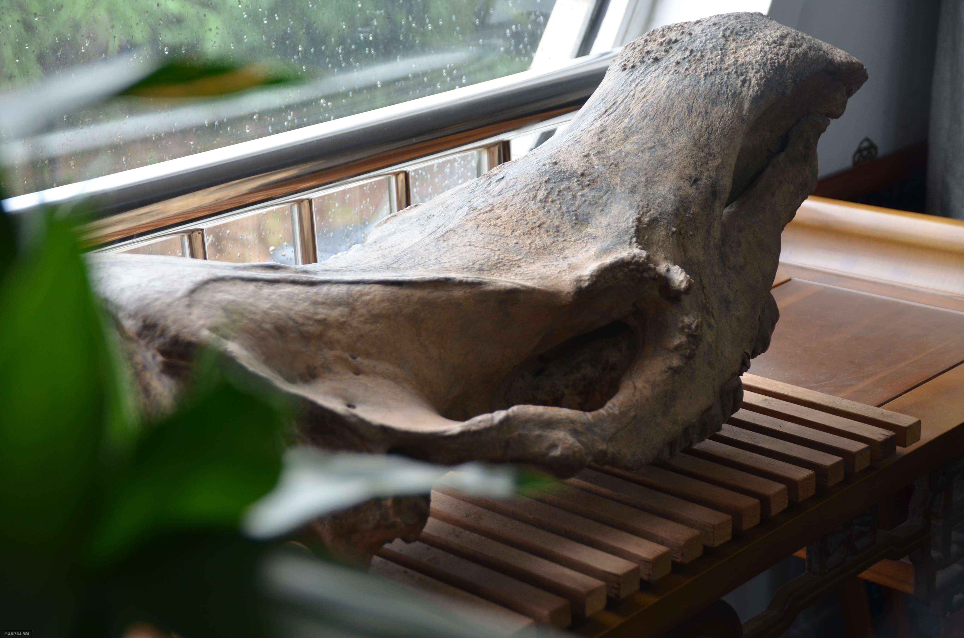 58平米 办公室 个性化装修-0