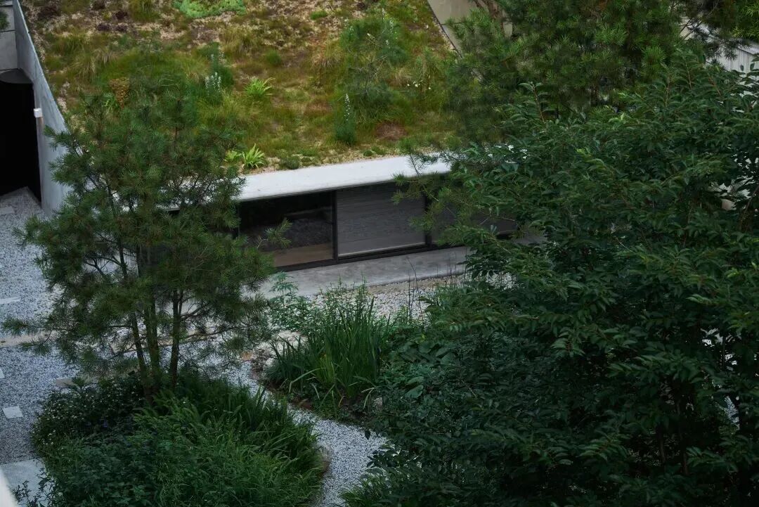 林间茶室丨中国上海丨空间里建筑设计事务所-17