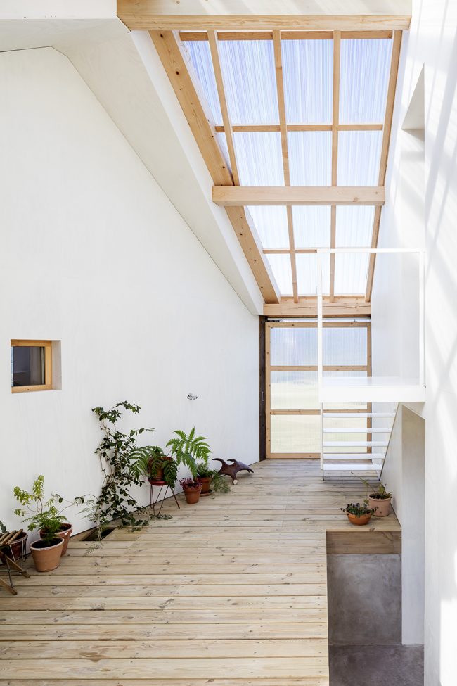 法国 Talbot·Wallis 住宅-15