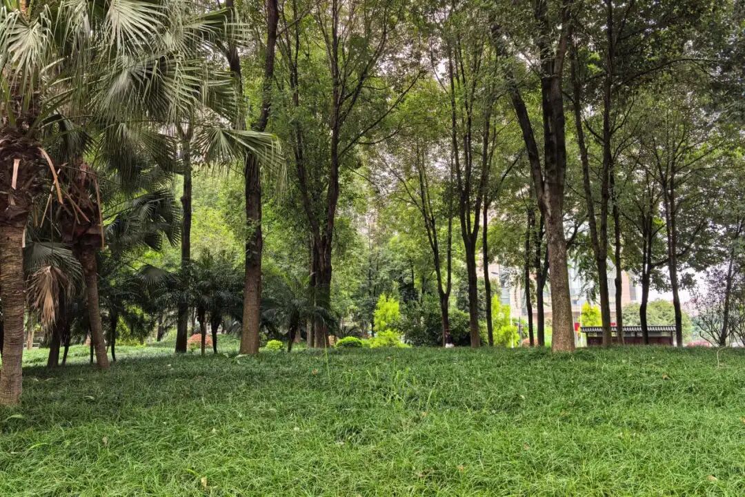 家门口的运动场丨路侧单一功能场地“变身”健康生活走廊-23