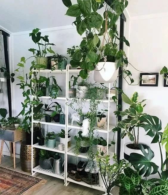 30㎡小户型也能拥有花园,设计师的神奇打造!-41