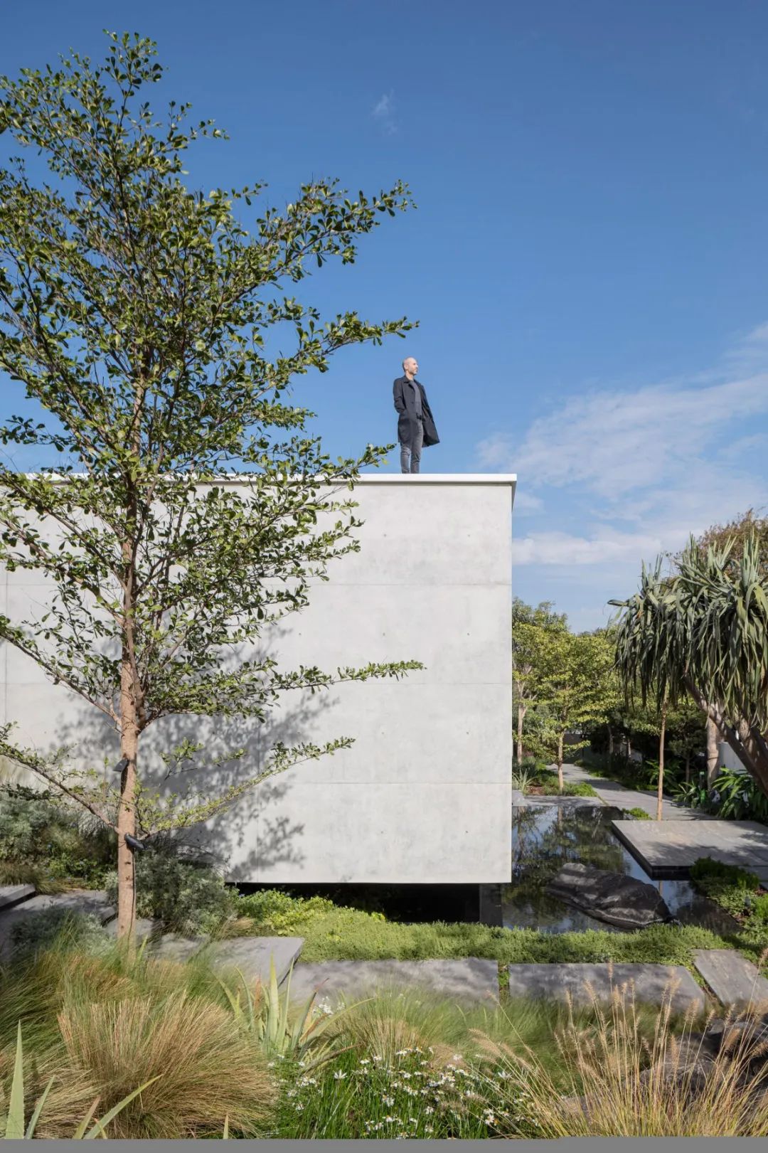 以色列 MA 独栋住宅丨Pitsou Kedem 建筑事务所-30