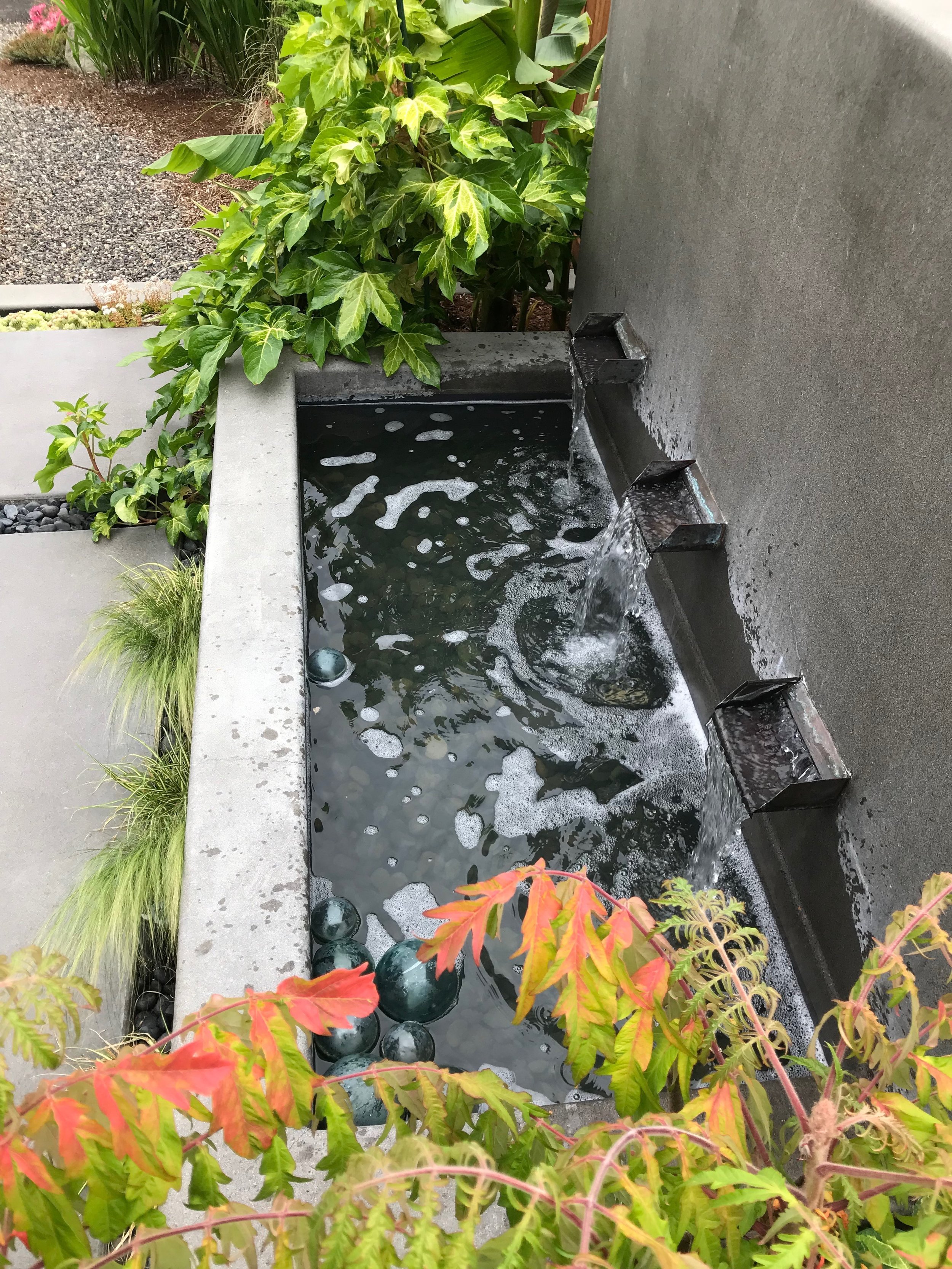 哥伦比亚城某住宅前院景观重新设计丨Alyse Lansing-11