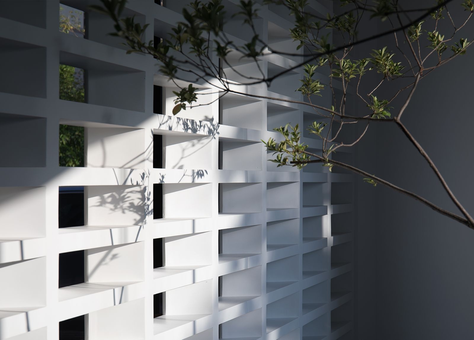 太姥山茶室丨中国莆田丨莆田墨臣空间设计-12