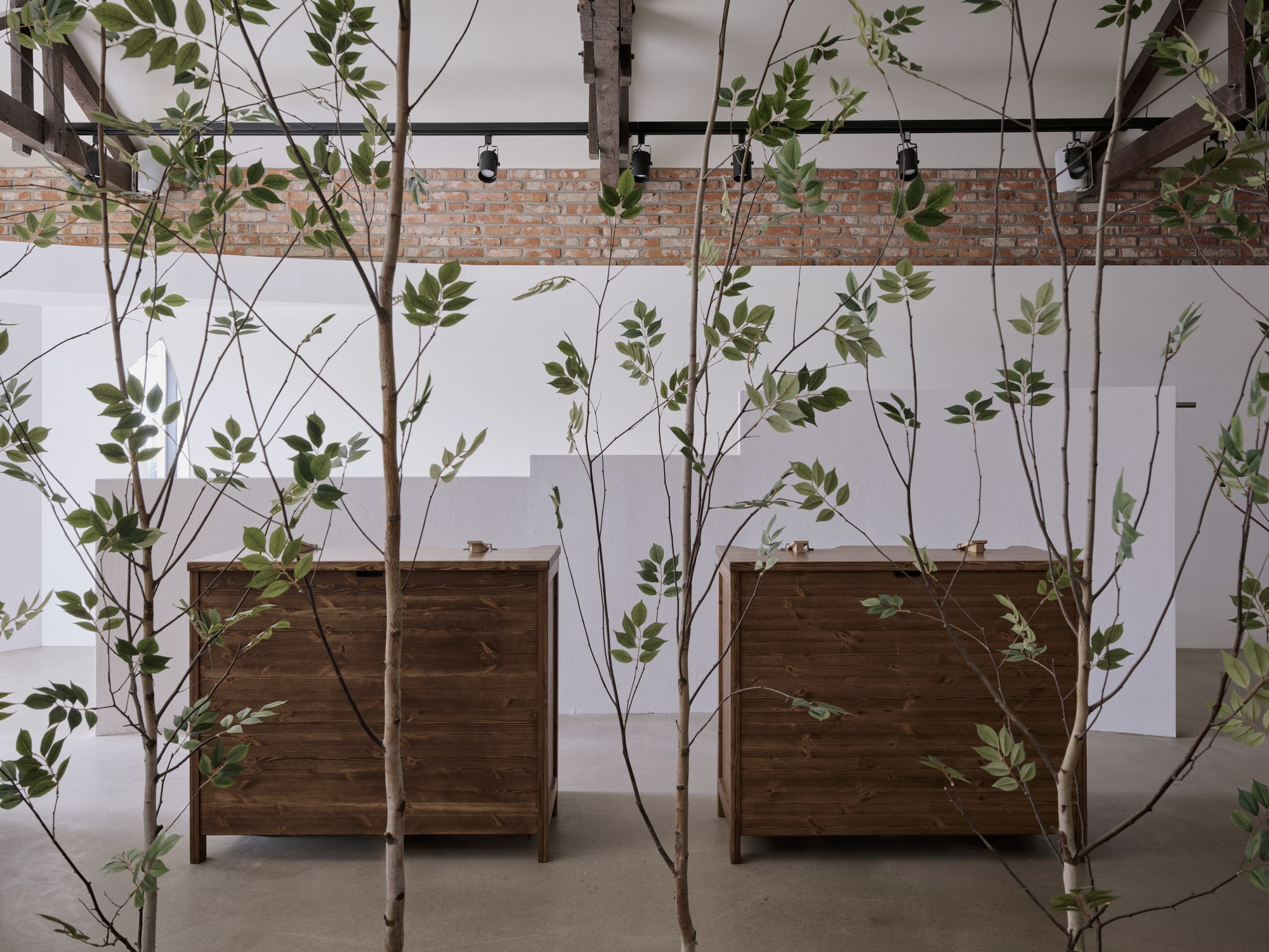 Atelier Hosoo 空间设计丨design by 83-15