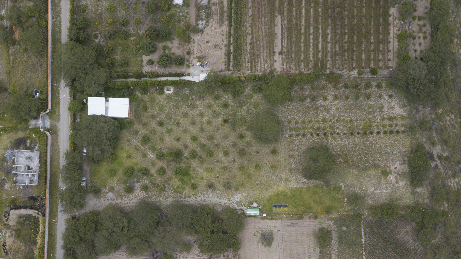 Ecuador 乡间别墅“Casa Tanda”-29