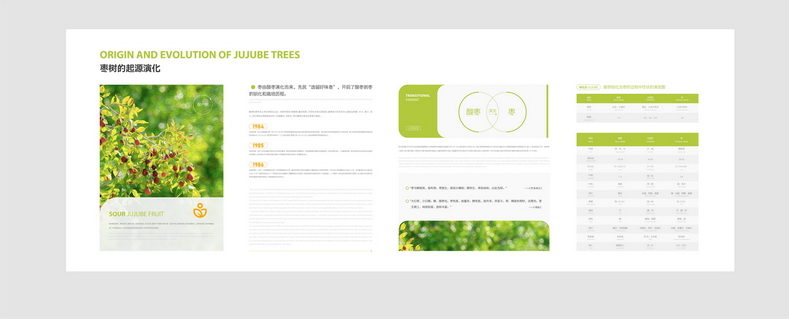 秦晋黄河红枣馆布展规划设计丨DSutdio-33