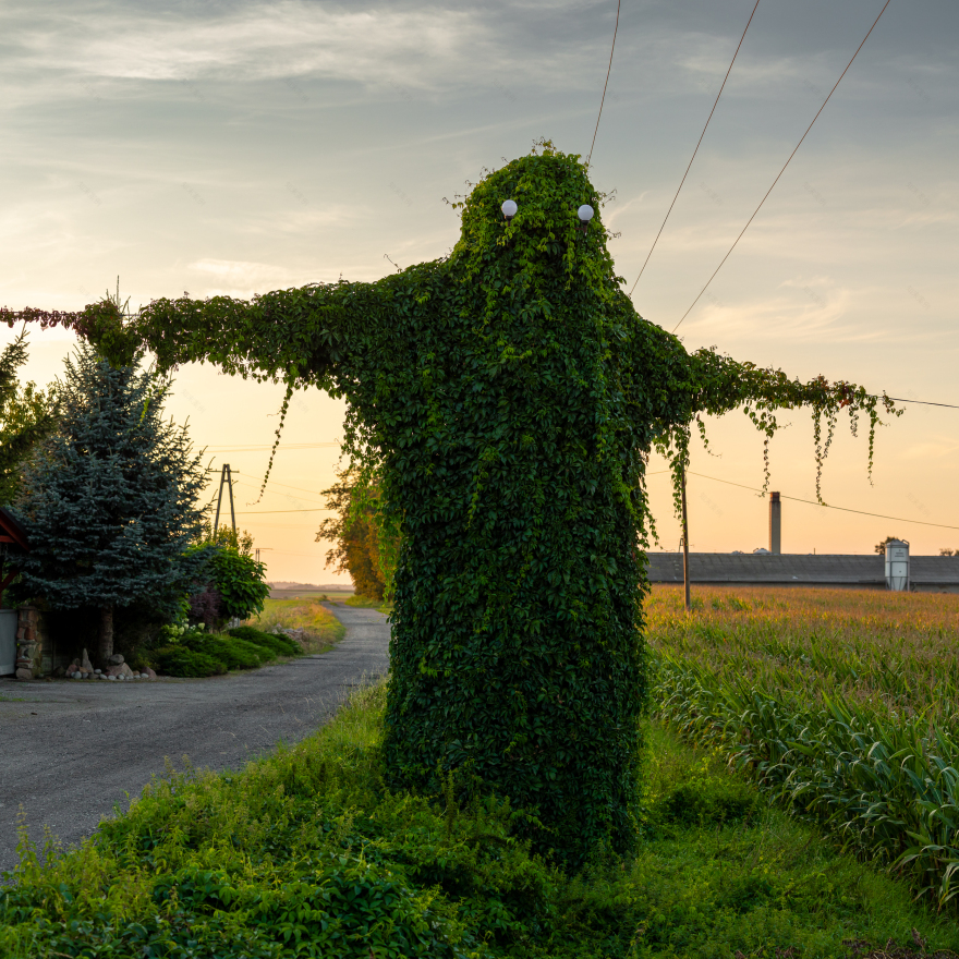 波兰奥波莱省“神秘生物”电线杆景点丨波兰波莱-7