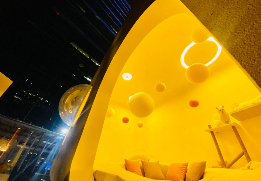 天猫双 11 感受展-30