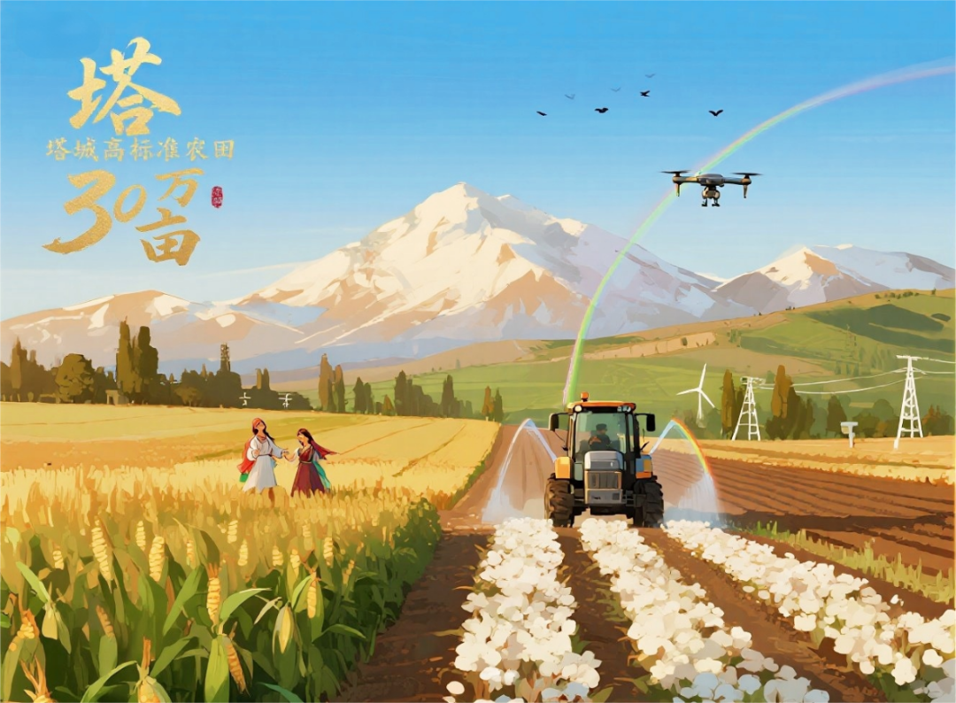 华设中标丨集团中标塔城市2026年高标准农田建设项目（设计）-40