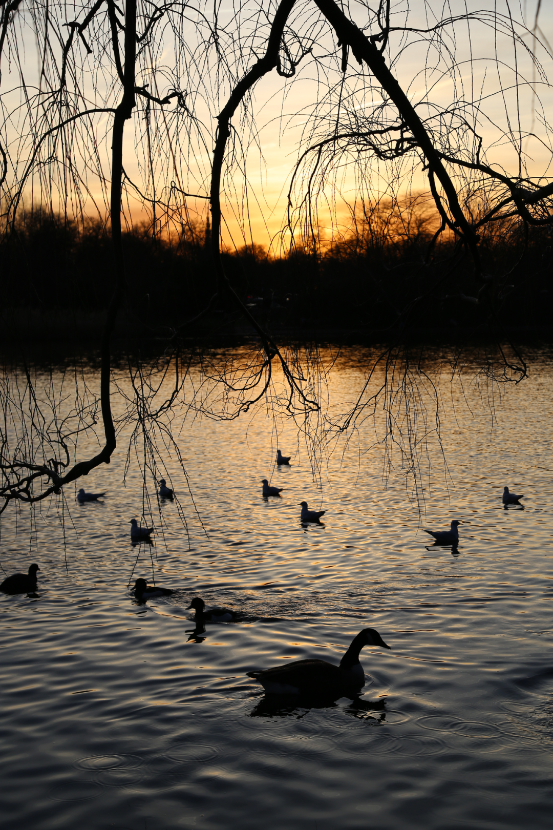无关风格，感官之旅 丨中国深圳丨懒猫创意空间-64