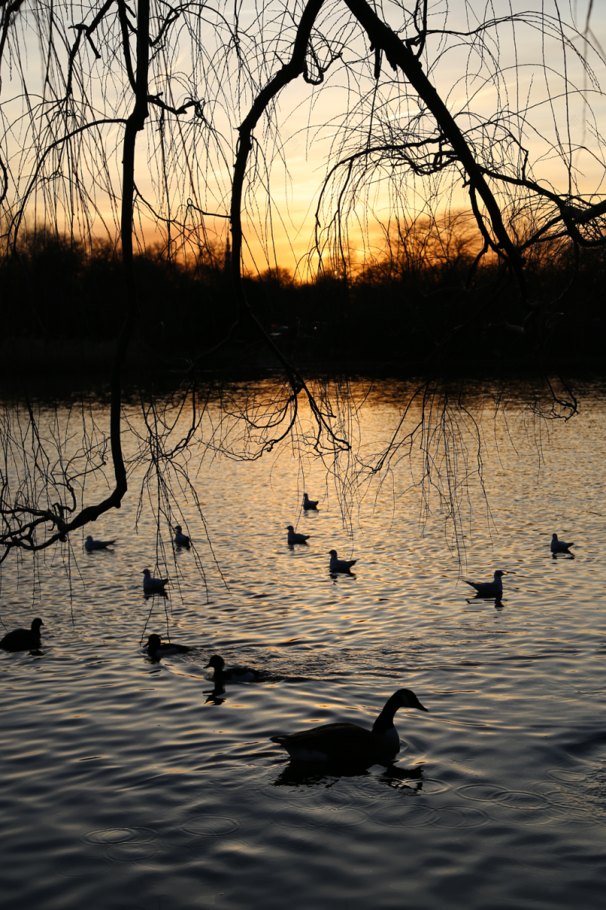 无关风格,感官之旅 丨中国深圳丨懒猫创意空间-64