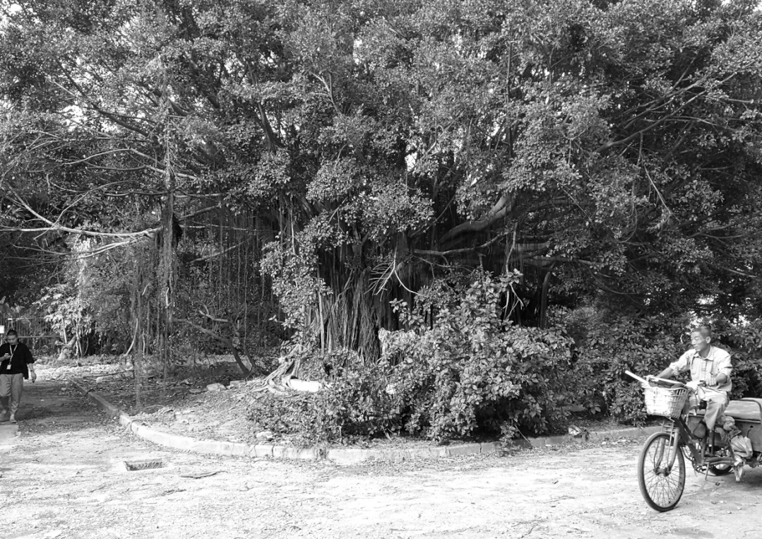 厦门梦工厂旧建筑改造丨中国厦门丨合立道设计集团土建一院 一致建筑工作室-3