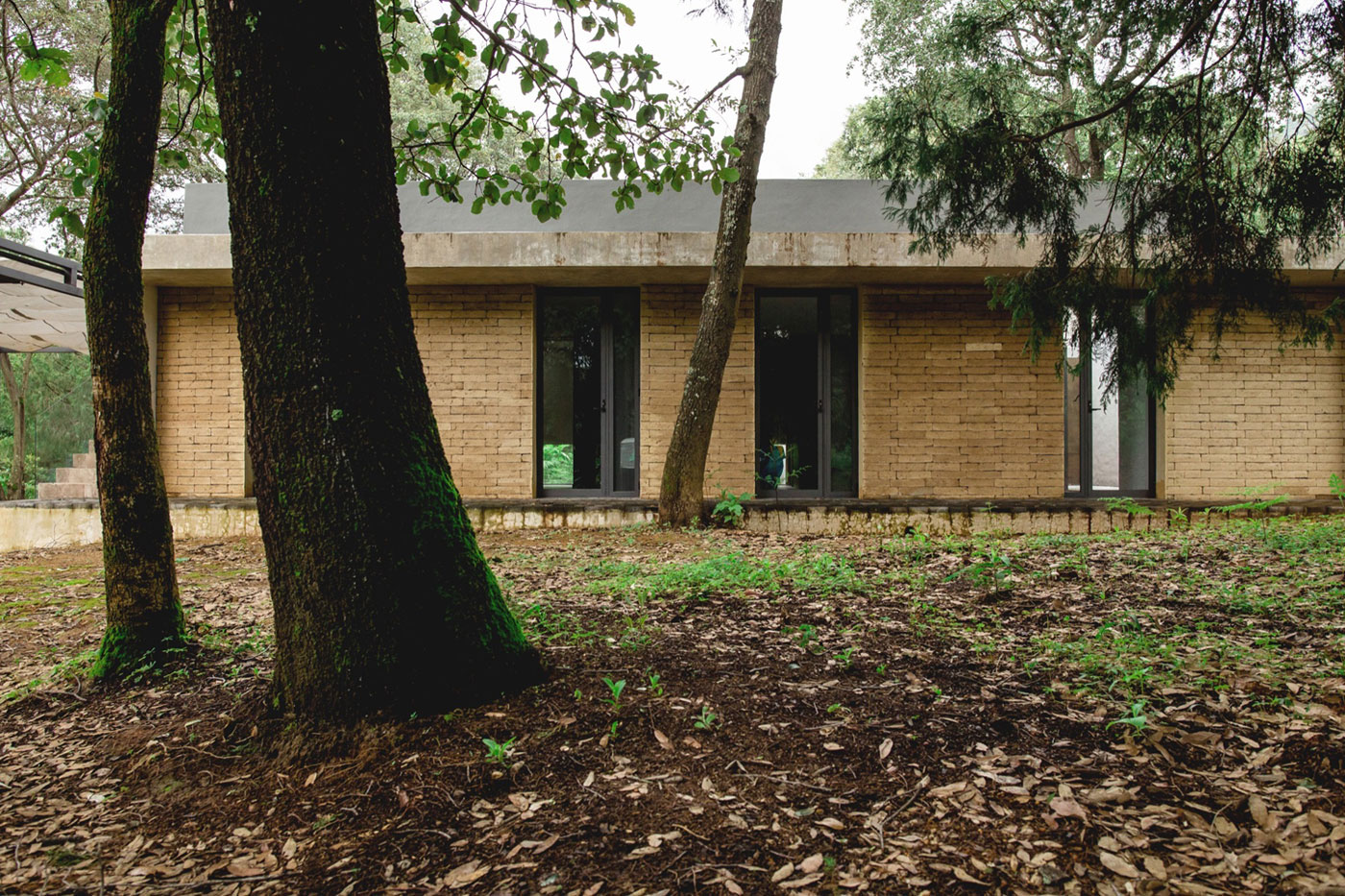 墨西哥森林中的现代住宅设计-14