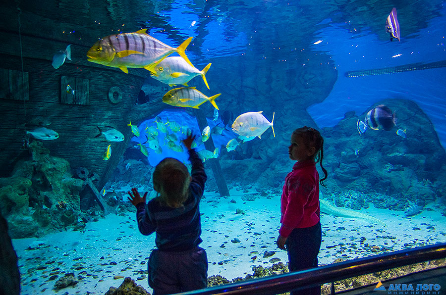 莫斯科和沃罗涅日的“РИО”海洋馆丨俄罗斯莫斯科丨Аква Лого Инжиниринг-10