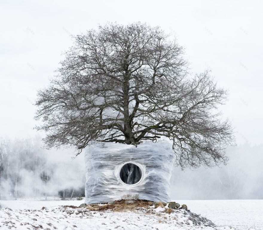 一树四季装置丨瑞典丨Ulf Mejergren + Antti Laitinen-14