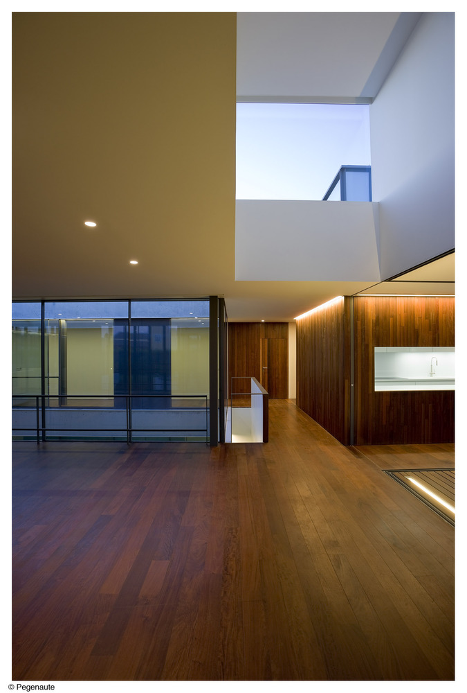 Domínguez House 过滤式花园设计-42