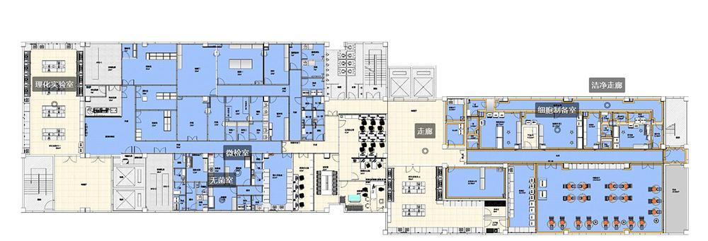 PCR实验室设计360全景效果图-8