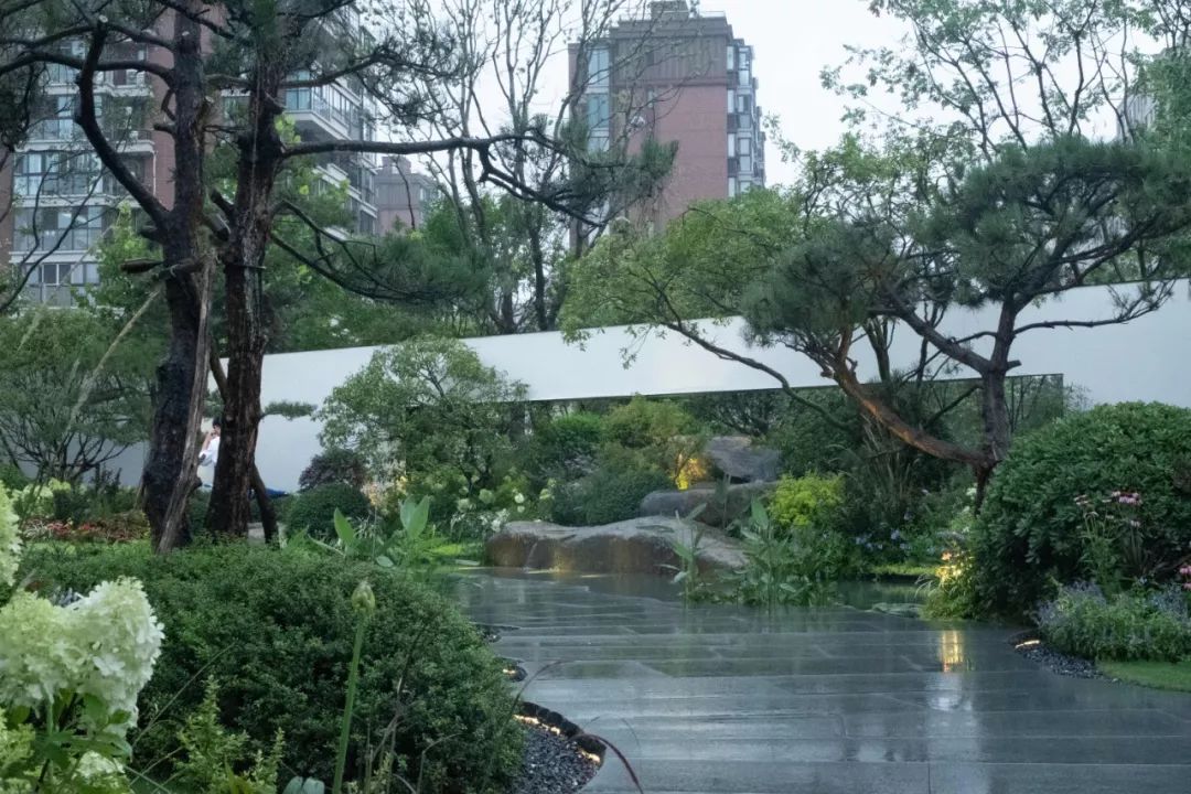 石头记：落雨声皆看化 | 龙湖葛洲坝 · 景粼天著-58