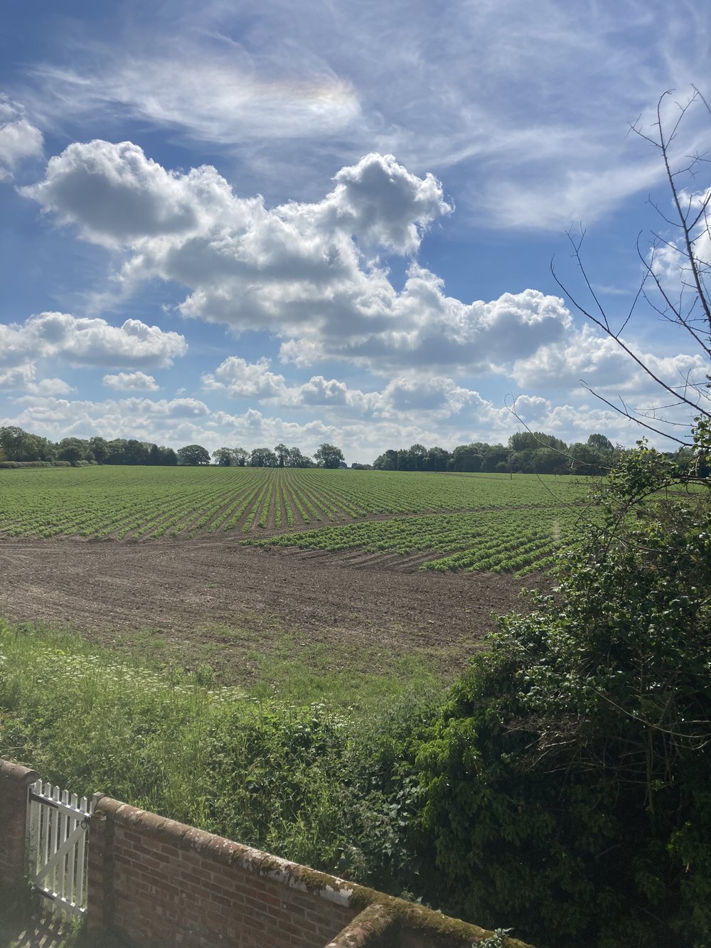 Norfolk的二级保护荷兰山墙房屋丨英国丨Lynch Architects-34