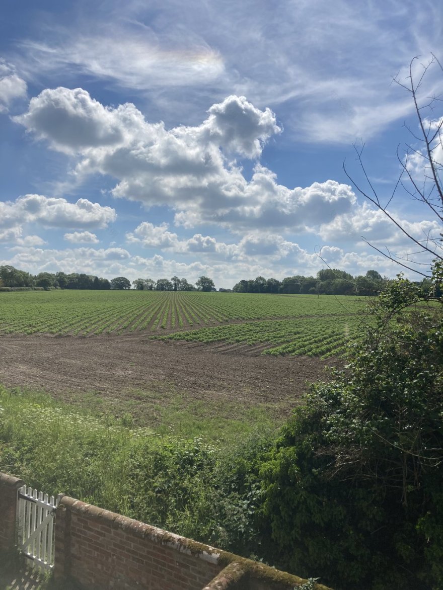 Norfolk的二级保护荷兰山墙房屋丨英国丨Lynch Architects-34