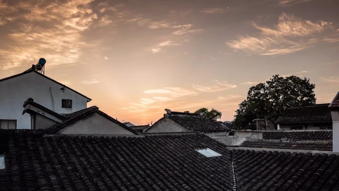 苏州素园無舍：平淡之中，暗浮美与雅-2