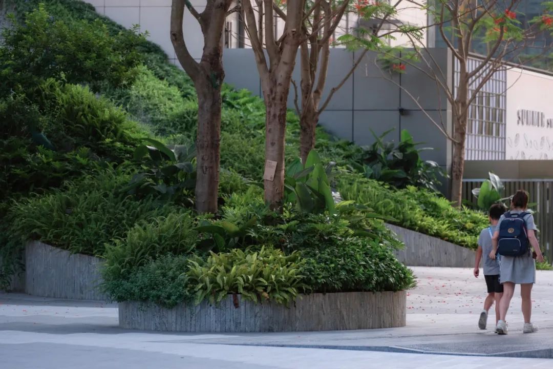 仁恒深圳公园世纪三期丨中国深圳丨TROP景观事务所-23