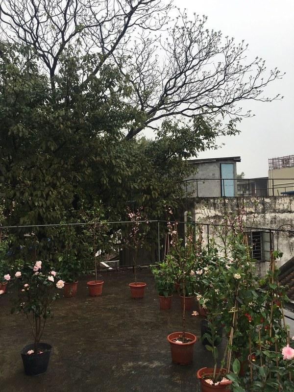 花最少的钱提升出租屋的逼格-16