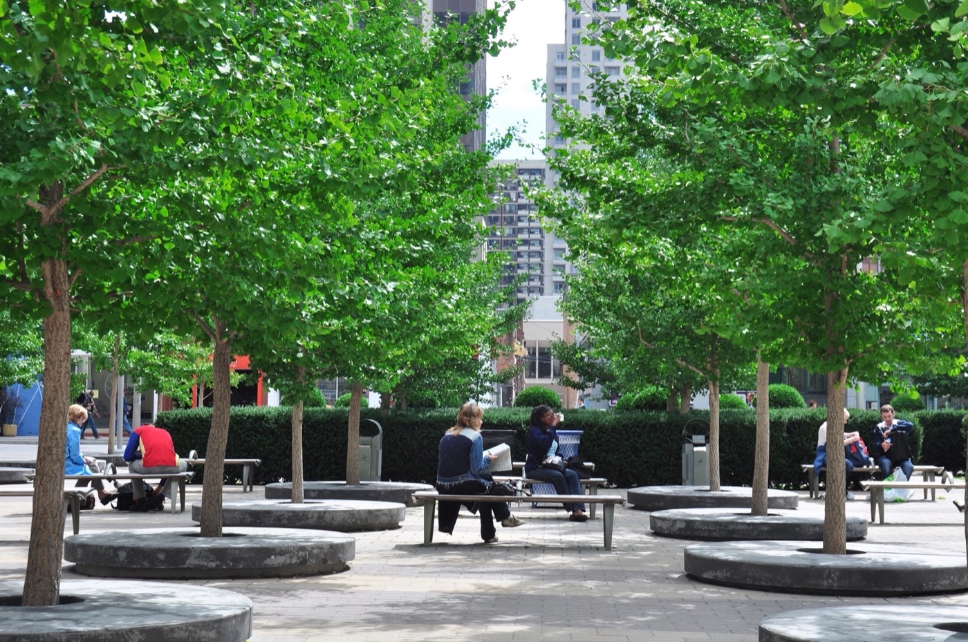 多伦多城镇大厅广场丨加拿大多伦多丨Janet Rosenberg Studio-7