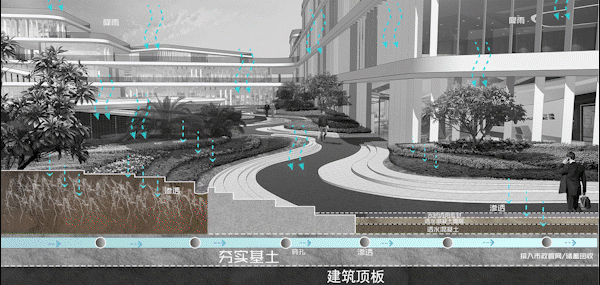 东莞滨海湾新区·湾区 1 号 | 海绵城市景观设计与应用-37