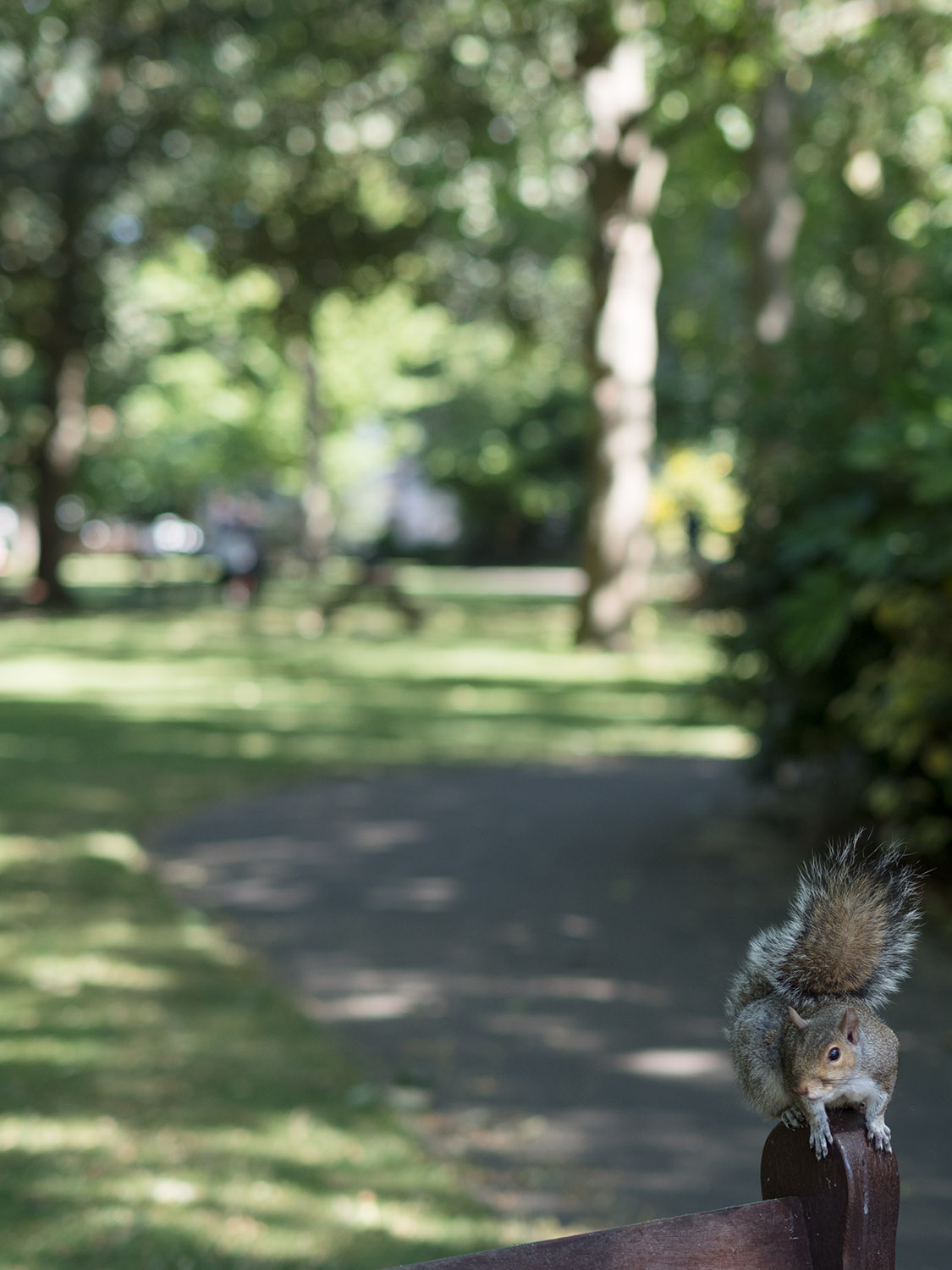 伦敦汉密尔顿台地 68 号丨英国伦敦丨Stepladder Design-110