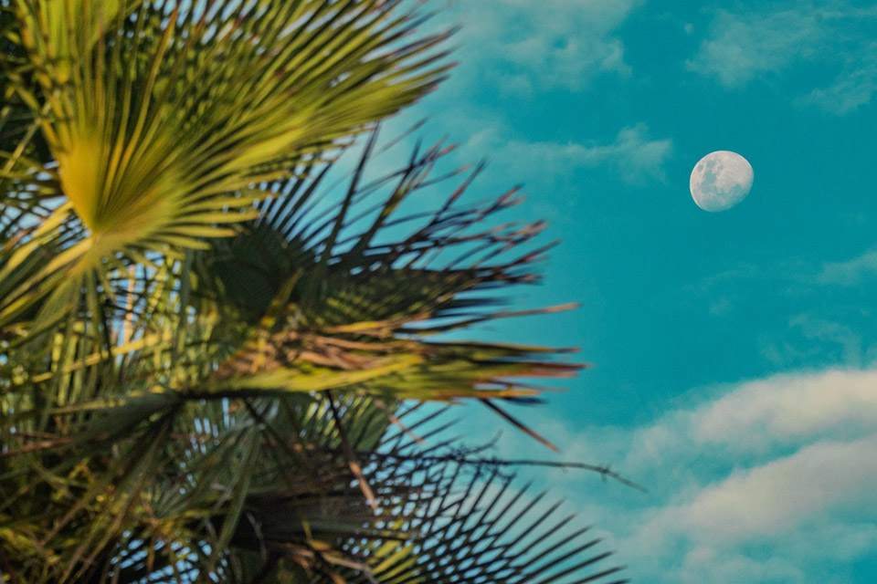 Casa Daia度假屋丨巴西塞阿拉丨UNA barbara e valentim-81