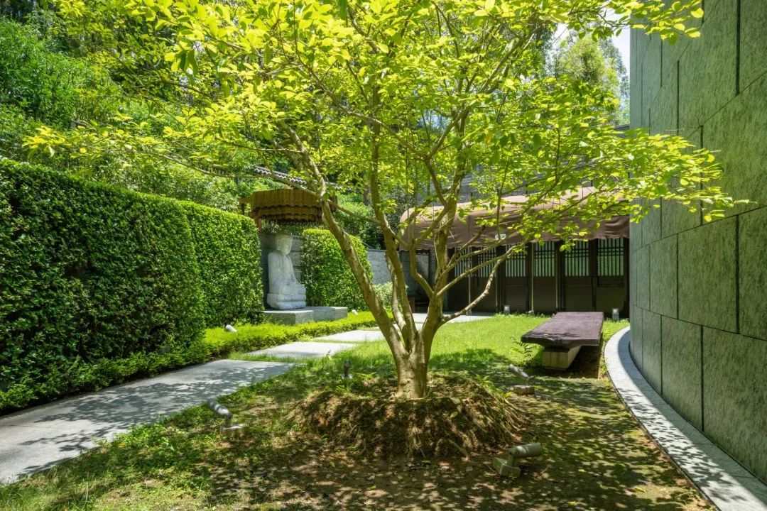 中国香港大埔区慈山寺周围绿色景观丨LWK+PARTNERS-32