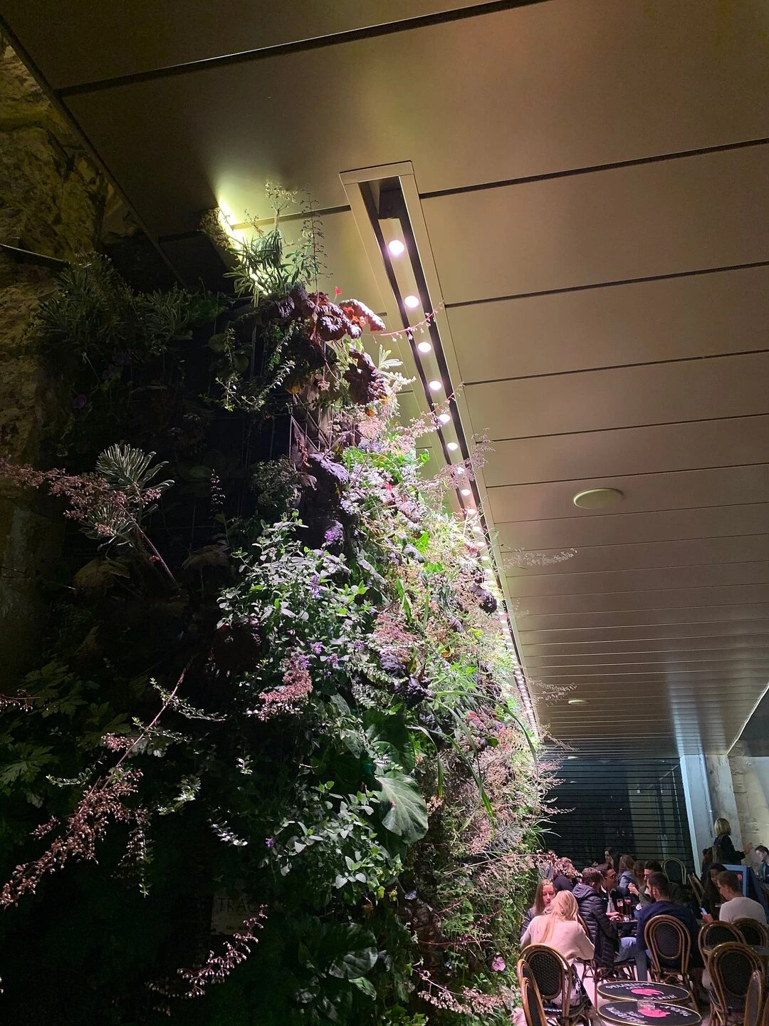 法国迪戎 Cour Bareuzai 历史建筑里的现代绿色办公空间-11