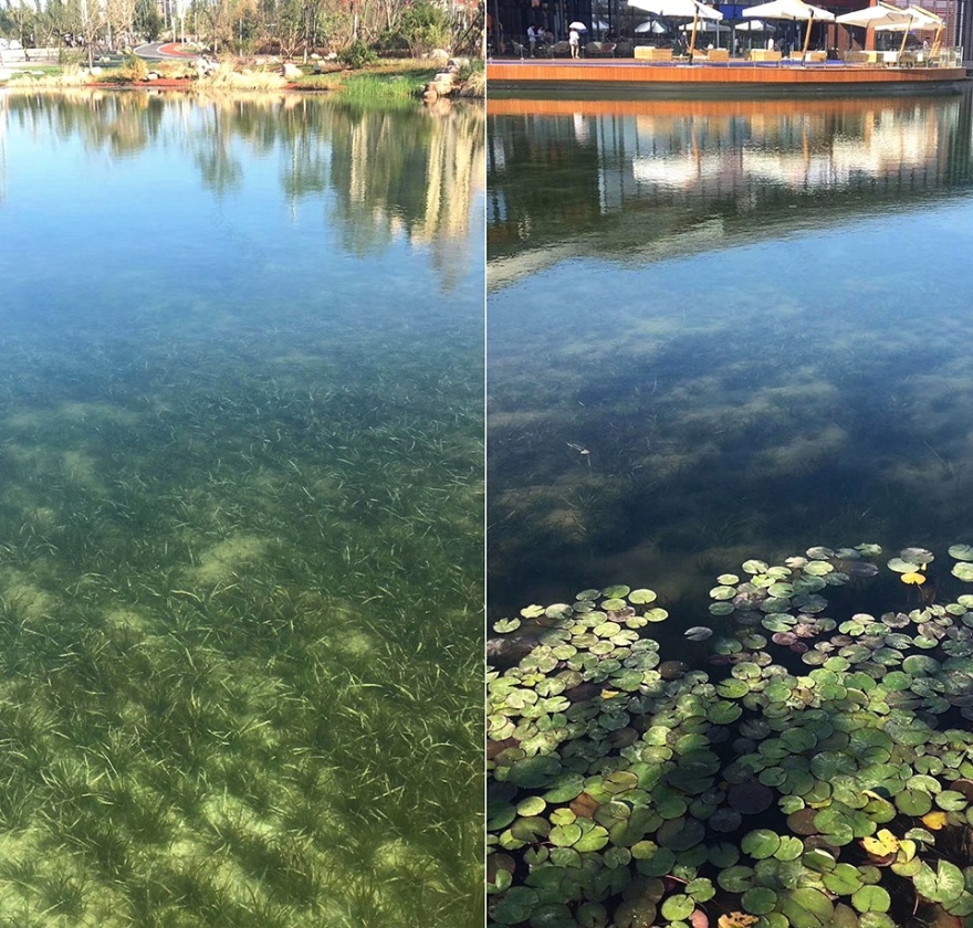 包头·万科中央公园丨中国包头-120