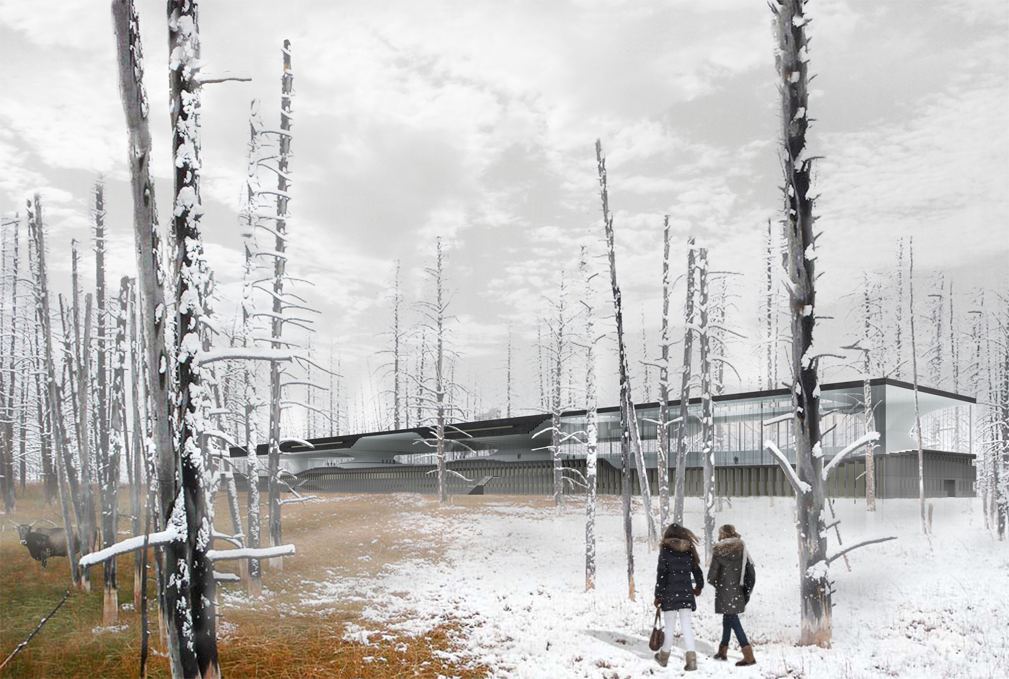 丨拉脱维亚利耶帕亚-6