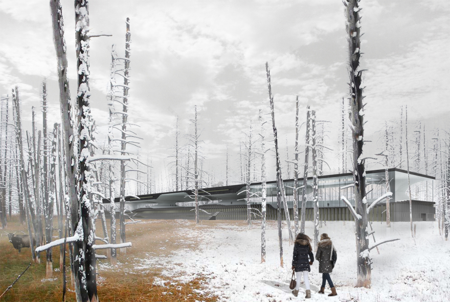 丨拉脱维亚利耶帕亚-6