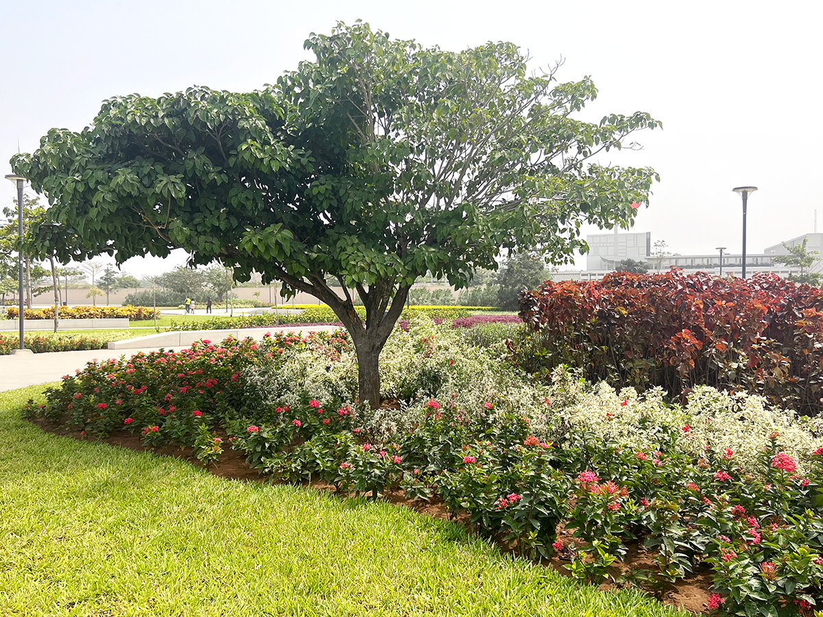 丨贝宁丨Loos van Vliet,与Rod’or Advies合作-23