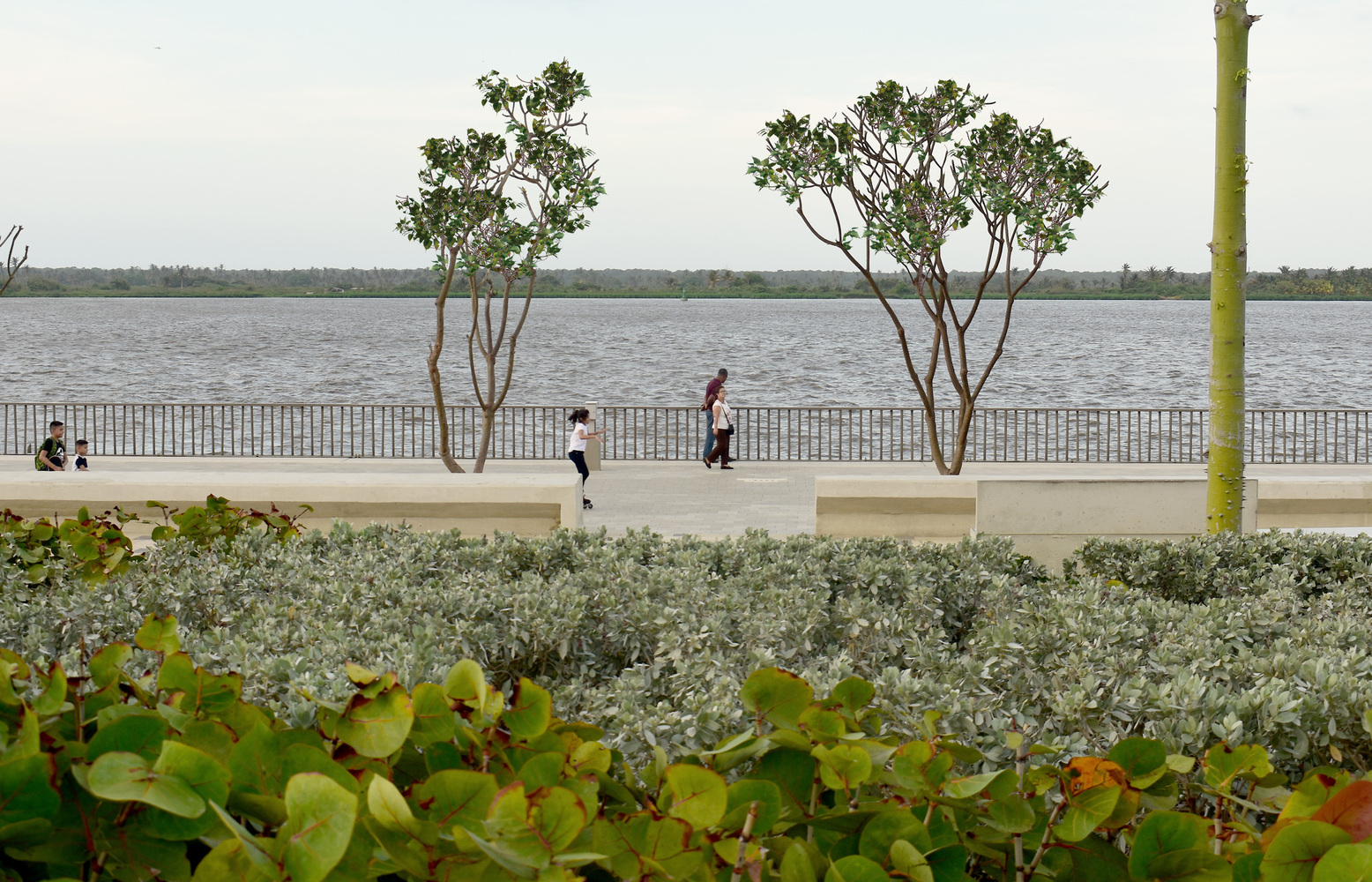 Gran Malecón 公共空间-17