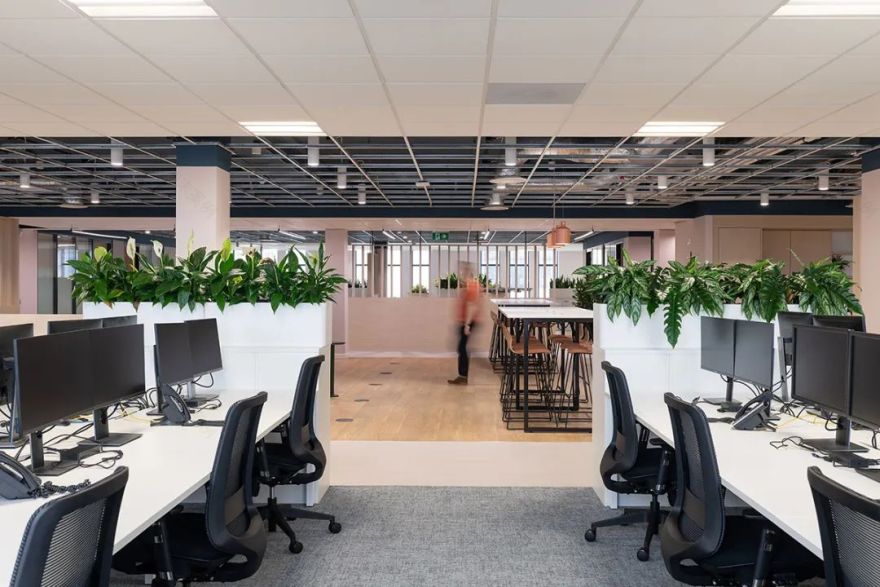 Onward Homes 利物浦总部丨英国利物浦丨5plus Architects-27