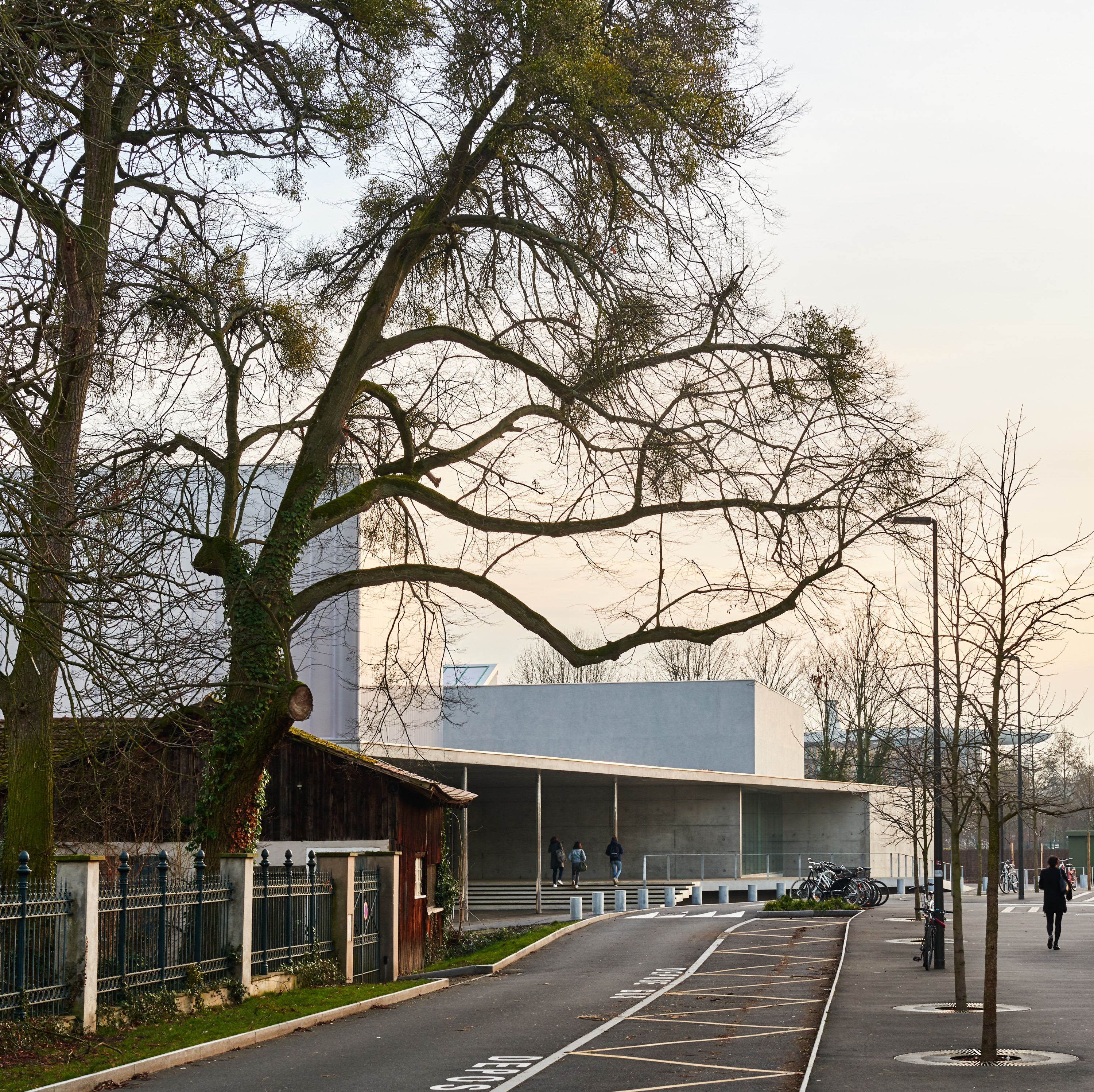 法国斯特拉斯堡“人权”体育馆,绿色环保与人文融合的设计-26