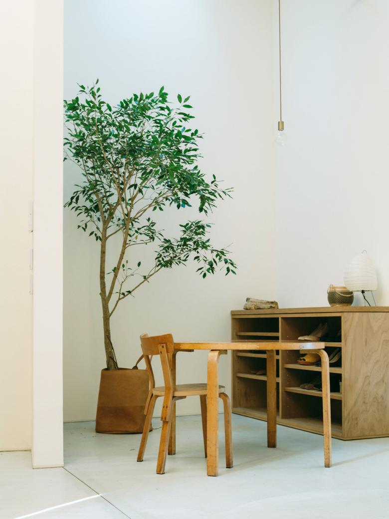 邸宅巣箱 / 早坂直貴+斧田裕太丨道のりを織り込んだ家丨日本-24