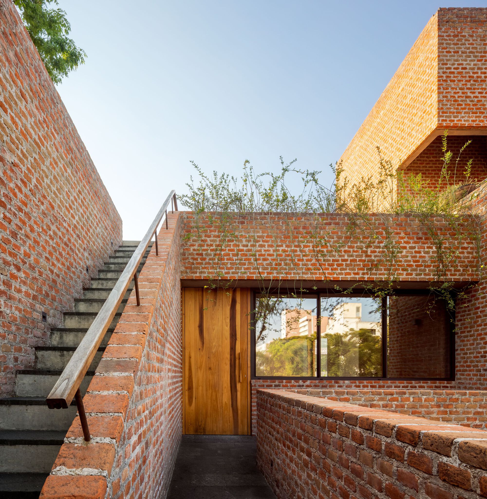 E8 住宅丨墨西哥墨西哥城-24