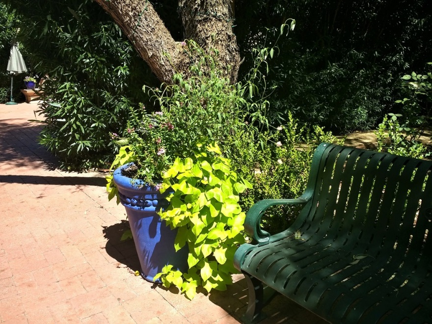 图森植物园(Tucson Botanical Garden)丨美国图森-22