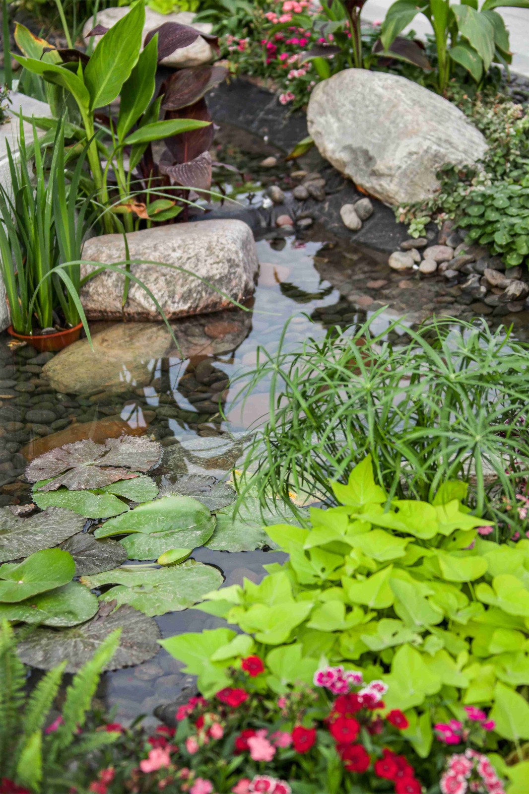 中山金色年华项目住宅景观丨中国中山-8