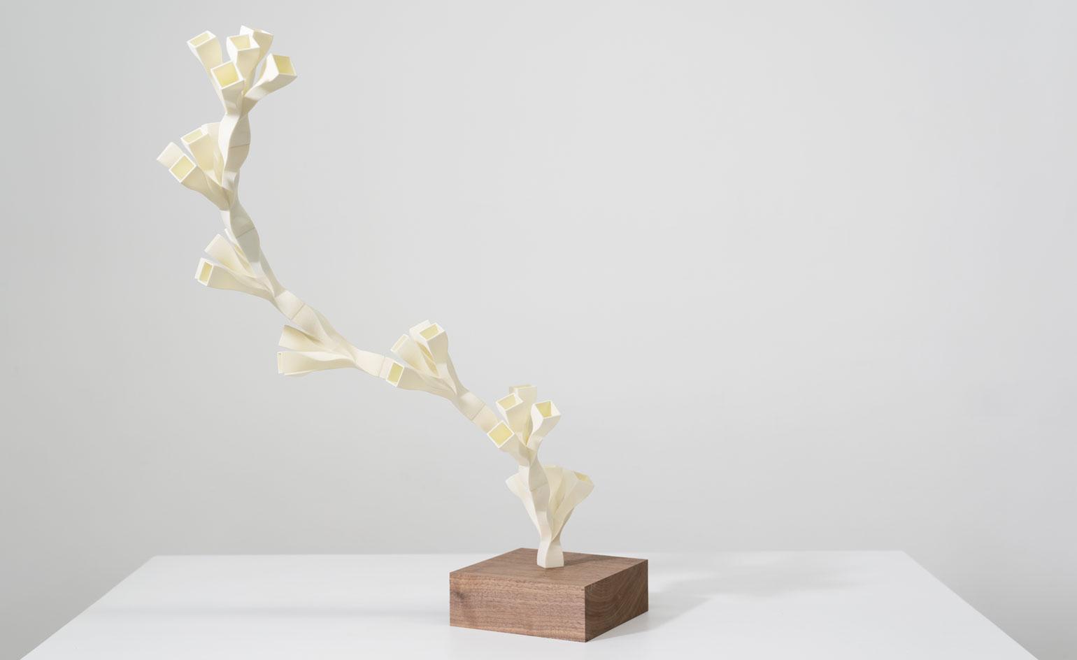 树之灵韵 | Se Yoon Park 雕塑展探讨自然与建筑的共生之美-2