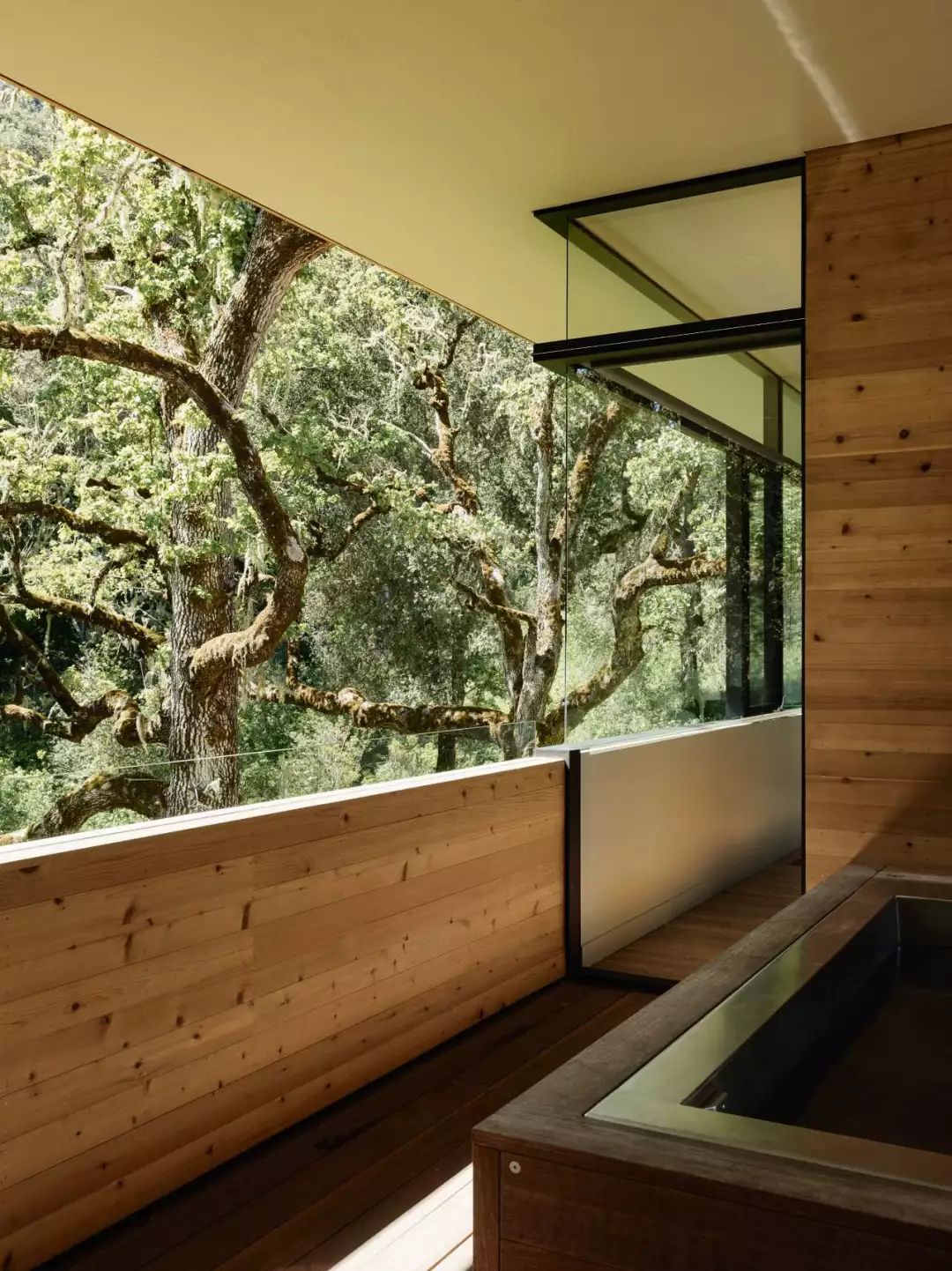 融合自然的当代美学 | 丹尼尔·皮乔塔设计案例解读-21