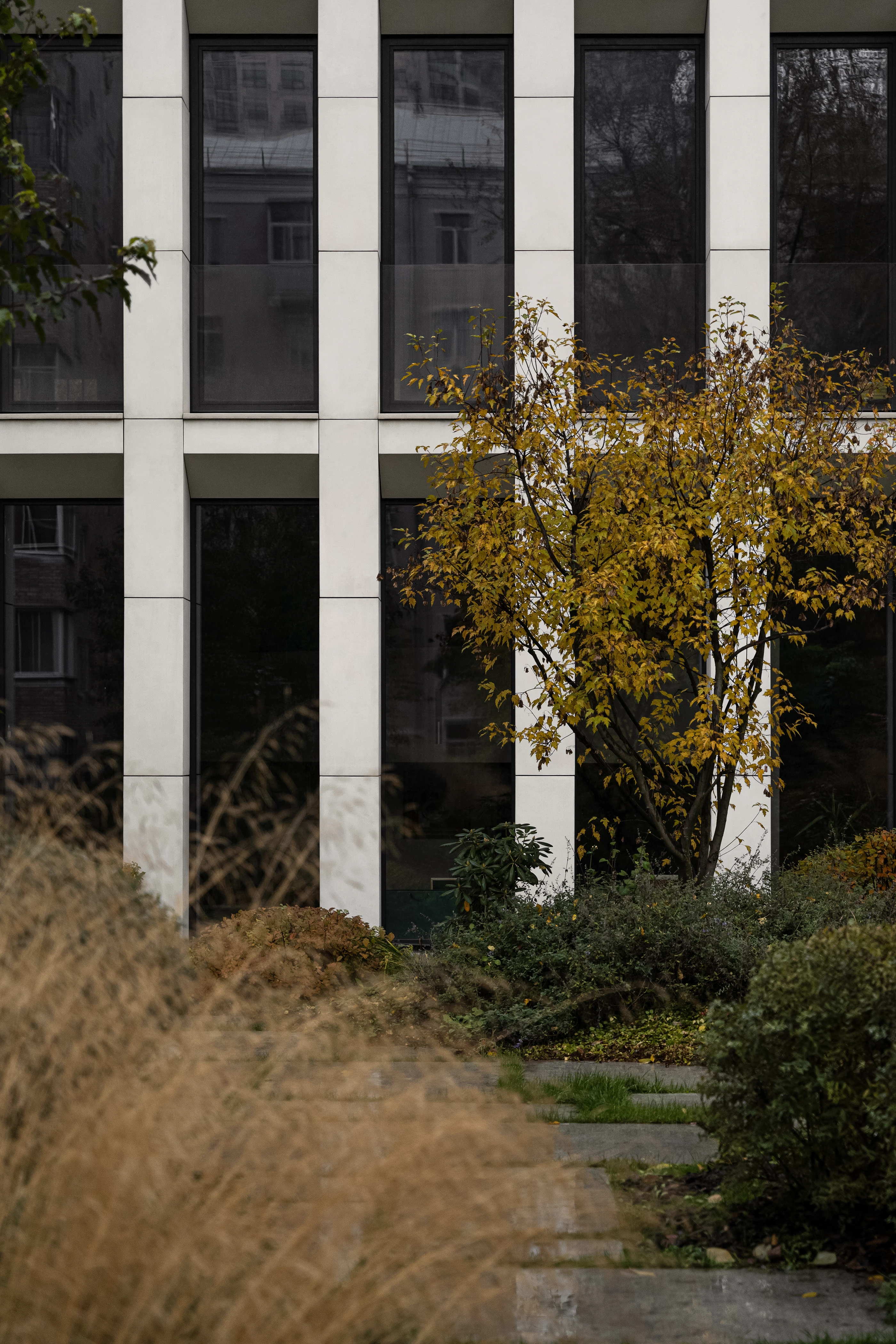 梦幻之家丨俄罗斯莫斯科丨Tsimaylo Lyashenko & Partners-7